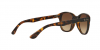 OKULARY RAY-BAN® RB 4203 710/13 51 ROZMIAR M